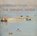 The Shining Sands, Tom Cross - Gebonden - 9781841147000