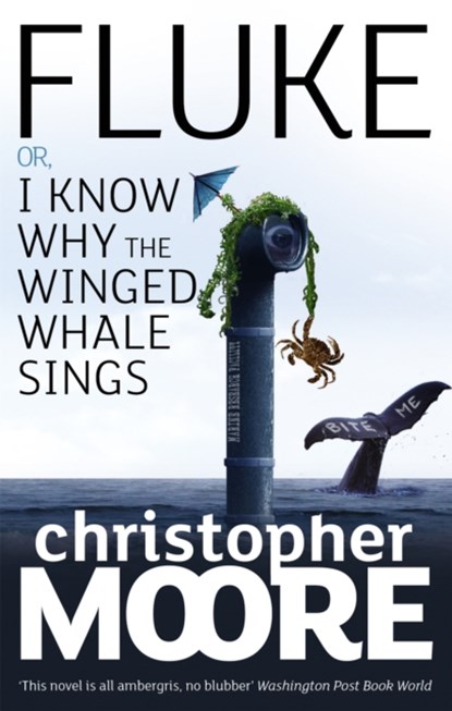 Fluke, Christopher Moore - Paperback - 9781841496177