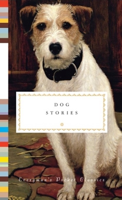 Dog Stories, Diana Secker Tesdell - Gebonden Gebonden - 9781841596068