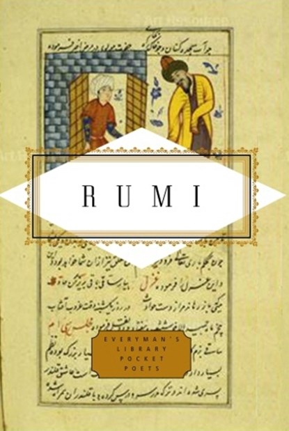 Rumi Poems, Peter Washington - Gebonden - 9781841597690