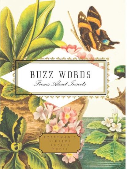 Buzz Words, Howard Schechter ; Kimiko Hahn - Gebonden - 9781841598215
