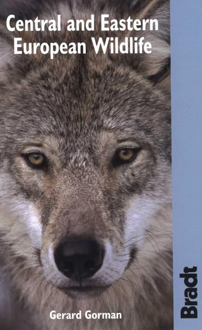 Bradt Central and Eastern European Wildlife, Gerard Gorman - Paperback - 9781841622316
