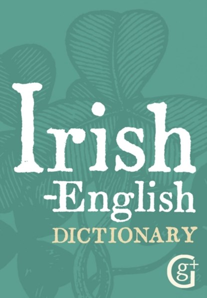 Irish-English Dictionary, Ciaran O. Pronntaigh - Paperback - 9781842052969