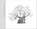 A Legacy of Ancient Oaks, FRITH,  Mark - Gebonden - 9781842466674