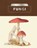 Kew Pocketbooks: Fungi, Kew The Royal Botanic Gardens - Gebonden - 9781842467268