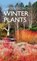 Gardening with Winter Plants, Tony Hall - Gebonden - 9781842467947