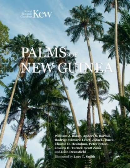 Palms of New Guinea, William Baker - Gebonden - 9781842468104