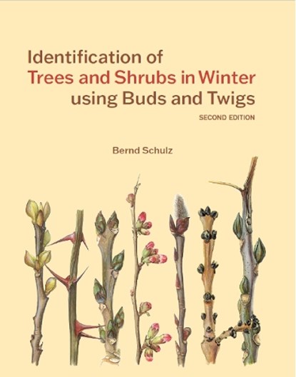 Identification of Trees and Shrubs in Winter using Buds and Twigs, Bernd Schulz - Paperback - 9781842468340