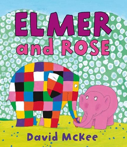 Elmer and Rose, David McKee - Paperback - 9781842707401