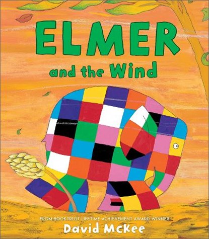 Elmer and the Wind, David McKee - Paperback - 9781842707739