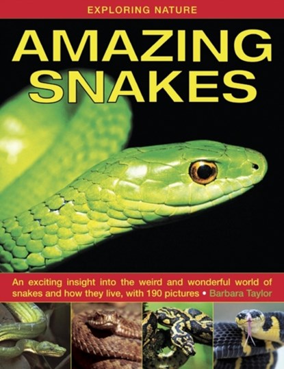 Exploring Nature: Amazing Snakes, Barbara Taylor - Gebonden - 9781843227366