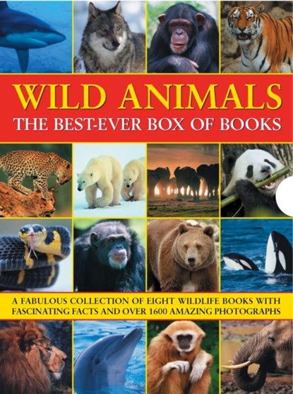 Wild Animals Best Ever Box of Books, Barbara Taylor - Paperback - 9781843227984