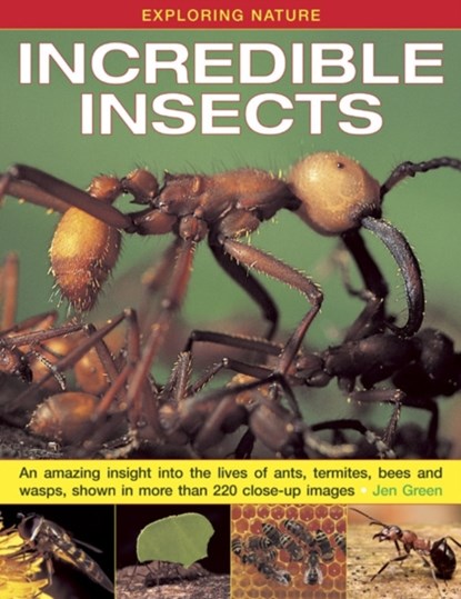 Exploring Nature: Incredible Insects, Dr Jen Green - Gebonden - 9781843229117
