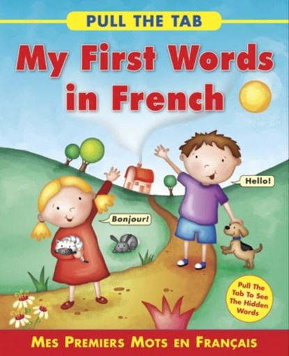 Pull the Tab: My First Words in French, Delany Sally - Gebonden - 9781843229162