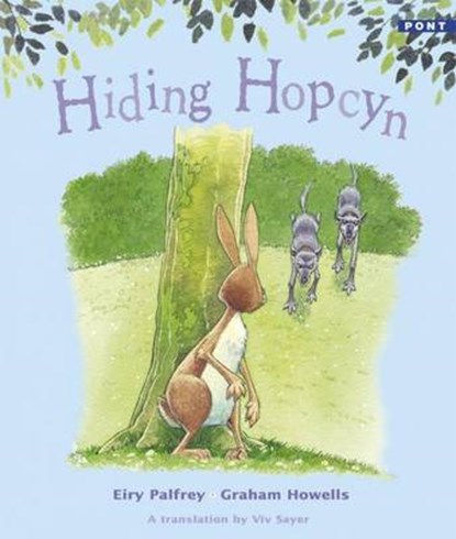 Hiding Hopcyn, Eiry Palfrey - Paperback - 9781843237129