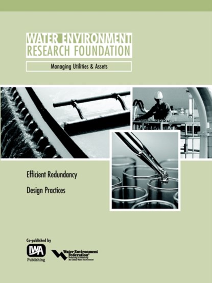 Efficient Redundancy Design Practices, T. M. Palmer - Paperback - 9781843396413