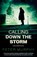 Calling Down The Storm, Peter Murphy - Paperback - 9781843446736