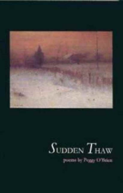 Sudden Thaw, Peggy O'Brien - Paperback - 9781843510413