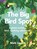 The Big Bird Spot, Matt Sewell - Gebonden - 9781843653264