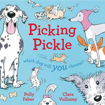 Picking Pickle, Polly Faber - Paperback - 9781843653554