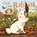 Grab that Rabbit!, FABER,  Polly - Gebonden - 9781843653783