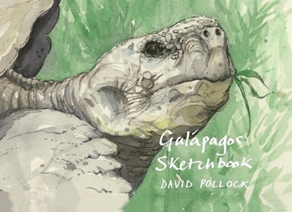 Galapagos Sketchbook, David Pollock - Gebonden - 9781843682141
