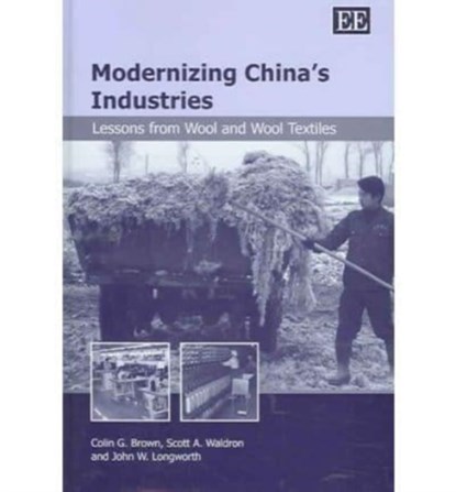 Modernizing China's Industries, Colin G. Brown ; Scott A. Waldron ; John W. Longworth - Gebonden - 9781843765912