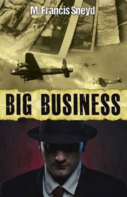 Big Business, M. Francis Sneyd - Paperback - 9781843869399