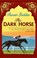 The Dark Horse, Rumer Godden - Paperback - 9781844088522