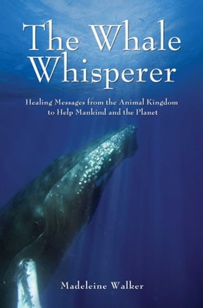 The Whale Whisperer, Madeleine Walker - Ebook - 9781844093878