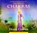 The Twelve Chakras, Diana Cooper - AVM - 9781844095186