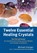 Twelve Essential Healing Crystals, Michael Gienger - Paperback - 9781844096428