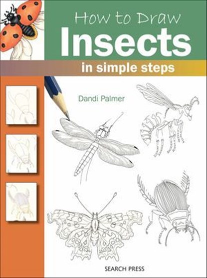 How to Draw: Insects, Dandi Palmer - Ebook - 9781844484478