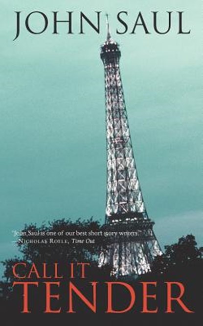 Call It Tender, John Saul - Paperback - 9781844713226