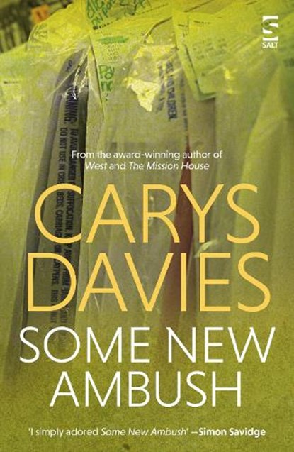 Some New Ambush, Carys Davies - Paperback - 9781844713417
