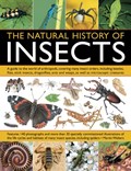 Natural History of Insects | Martin Walters | 