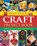 Best Ever Craft Project Book, Lucy Painter - Gebonden - 9781844777891