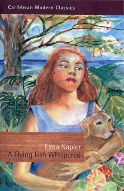 A Flying Fish Whispered, Elma Napier - Paperback - 9781845231026