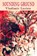 Sounding Ground, Vladimir Lucien - Paperback - 9781845232399