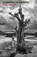 Kingdom of Gravity, Nick Makoha - Paperback - 9781845233334