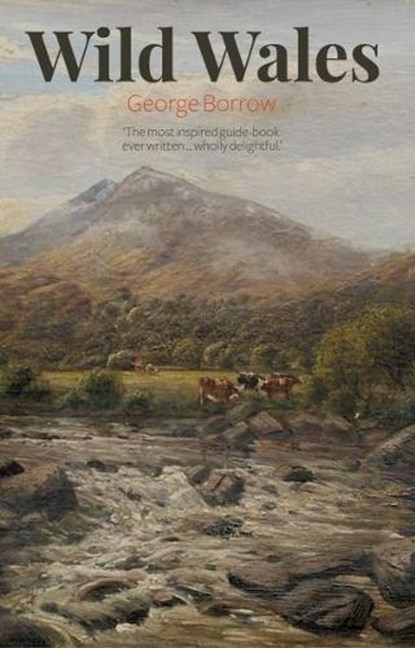 Wild Wales, George Borrow - Paperback - 9781845244514