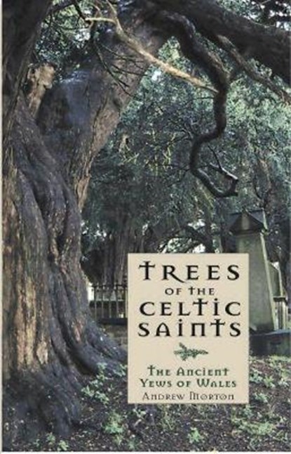 Trees of the Celtic Saints ? The Ancient Yews of Wales, Andrew Morton - Paperback - 9781845271732