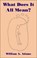 What Does it All Mean?, William A. Adams - Paperback - 9781845401016