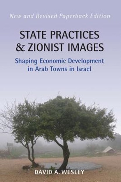 State Practices and Zionist Images, David A. Wesley - Gebonden - 9781845450588