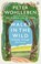 Walks in the Wild, WOHLLEBEN,  Peter - Paperback - 9781846045585