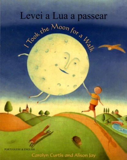 I Took the Moon for a Walk, Alison Jay - Paperback - 9781846113741