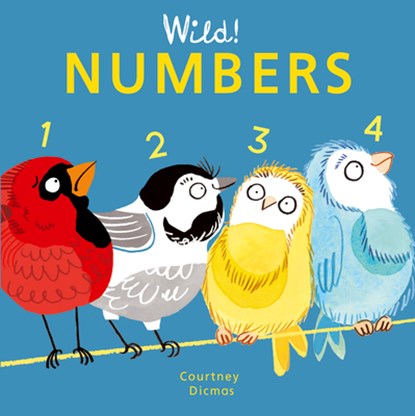 Numbers, Courtney Dicmas - Gebonden - 9781846439933