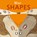 Shapes, Courtney Dicmas - Gebonden - 9781846439940