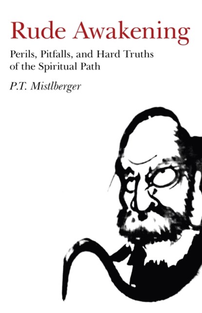 Rude Awakening – Perils, Pitfalls, and Hard Truths of the Spiritual Path, P.t. Mistlberger - Paperback - 9781846946097