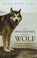 Philosopher and the Wolf, ROWLANDS,  Mark - Paperback - 9781847081025